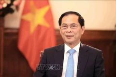 El viceprimer ministro y canciller Bui Thanh Son (Fuente: VNA) 