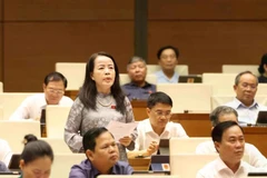 En una sesión de la Asamblea Nacional de Vietnam (Fuente: VNA)
