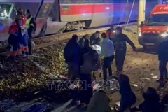 El grave accidente entre dos trenes de alta velocidad ocurrió en la provincia de Córdoba (Fuente: VNA)