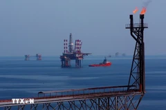 Plataformas petrolíferas en el yacimiento petrolífero de Bach Ho. (Foto: VNA)