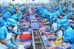 Procesamiento de pescado para exportación en la fábrica de Southern Seafood Industry en ciudad de Can Tho (Foto:VNA)