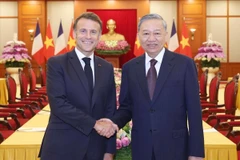 El secretario general del PCV, To Lam (derecha) y el presidente francés, Emmanuel Macron (Fuente: VNA)