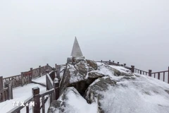 Las fuertes nieves cayen en la cima del Fansipan (Fuente: VNA)