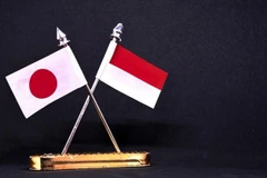 Foto ilustrada (Fuente: tempo.co)