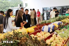 En la zona fronteriza se venden numerosos tipos de frutas vietnamitas, como el durián y la maracuyá. (Foto: VNA)