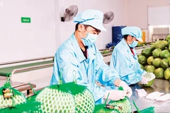 Foto ilustrada (Fuente: nhandan.vn)