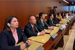 Delegados vietnamitas en la cita (Fuente: VNA)