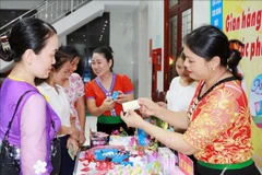 Promueven medidas anticonceptivas seguras en la provincia de Nghe An. Foto: VNA