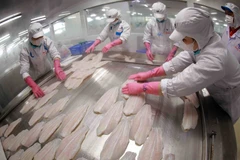 Se prevé que las exportaciones de pangasius en 2025 alcancen cerca de 2,2 mil millones de USD (Fuente: VNA)