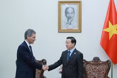 El viceprimer ministro de Vietnam, Tran Hong Ha (derrecha) recibe a Rodolphe Saadé, presidente y director ejecutivo del Grupo CMA-CGM (Fuente: VNA)