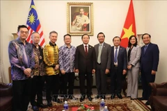 El viceprimer ministro Tran Hong Ha (centro) junto con representantes de asociaciones y empresas malasias (Fuente: VNA)