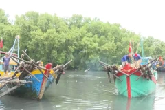 Foto ilustrada (Fuente: VNA)