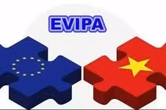 Francia avanza hacia la ratificación del Acuerdo de Protección de Inversiones UE-Vietnam
