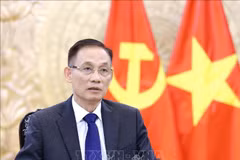 El secretario del Comité Central del Partido Comunista de Vietnam y ministro de Relaciones Exteriores, Le Hoai Trung (Fuente: VNA)