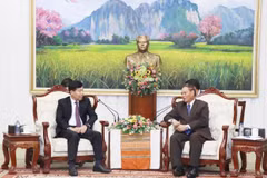 En el encuentro entre el viceministro de Relaciones Exteriores de Vietnam, Nguyen Manh Cuong, y Vilay Lakhamphong, miembro del Buró Político y permanente del Secretariado del Comité Central del PPRL (Fuente: VNA)
