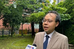 El profesor Pham Nam Hai, subdirector del Departamento de Electrónica del Instituto de Ciencia de Tokio en Japón (Fuente: VNA)