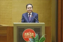 El presidente de la Asamblea Nacional de Vietnam, Tran Thanh Man (Fuente: VNA)