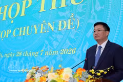 El subsecretario del Comité del Partido de Quang Ngai, Nguyen Duc Tam, es elegido como presidente del Comité Popular provincial (Fuente: VNA)