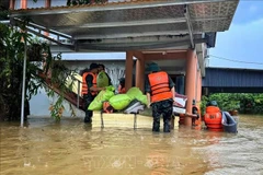 Ante el elevado nivel de las aguas, la Estación Meteorológica e Hidrológica de Bac Ninh ha emitido una advertencia sobre el riesgo de inundaciones (Fuente: VNA)