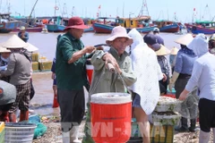 La norteña provincia vietnamita de Ninh Binh intensifica sus esfuerzos para implementar las directivas del Gobierno sobre la lucha contra la pesca ilegal (Fuente: VNA)