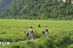 Turistas extranjeros visitan el sitio de turismo comunitario de Viet Hai (Foto: VNA)