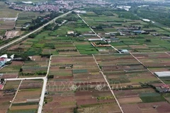 Foto ilustrada (Fuente: VNA) 