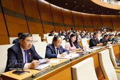 Los delegados en la cita (Fuente: VNA)