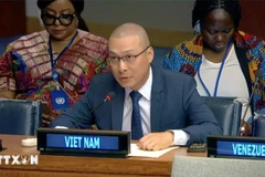 Nguyen Hoang Nguyen, ministro consejero y subjefe de la delegación vietnamita ante la Organización de las Naciones Unidas (Fuente: VNA)