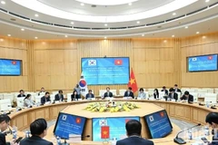 En la 14ª Sesión del Comité Conjunto de Cooperación Comercial, Industrial y Energética entre Vietnam y Corea del Sur (Fuente: VNA)