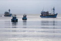 Barcos pesqueros anclados en las aguas de la Zona Económica Especial de Phu Quoc, provincia de An Giang (Foto: VNA)