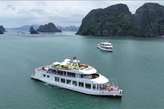 Barcos turísticos en la bahía de Ha Long (Fuente: VNA)