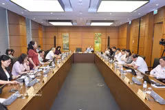 Delegaciones de la Asamblea Nacional de las provincias de Bac Ninh y Ca Mau mantuvieron conversaciones en sus respectivos grupos. (Foto: VNA)