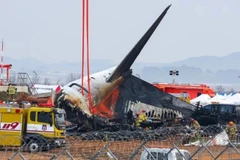 El lugar del accidente del avión de Jeju Air en Muan, Corea del Sur, el 29 de diciembre. (Foto: YONHAP/VNA)