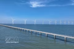 La central eólica Hoa Binh 1 + 2, ubicada en la comuna de Vinh Hau, provincia de Ca Mau, produce aproximadamente 400 millones de kWh al año, contribuyendo a la seguridad energética nacional. Foto: VNA