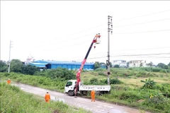 El equipo regional de gestión energética de Hai Phong instala equipos de protección contra rayos en el sistema de postes y cables. Foto: VNA