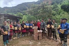 La Cruz Roja de Vietnam ha aprobado un paquete de ayuda humanitaria urgente por un valor aproximado de 25 mil 600 dólares (Fuente: VNA)
