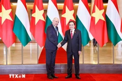 El presidente de la Asamblea Nacional de Vietnam, Tran Thanh Man, se reúne con el presidente húngaro, Sulyok Tamas, durante una visita oficial a Vietnam. Fuente: VNA