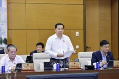 El secretario general del Parlamento y jefe de la Oficina del Consejo Electoral Nacional, Le Quang Manh (Fuente: VNA)