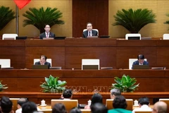 En una sesión de la Asamblea Nacional de Vietnam (Fuente: VNA)