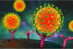 Foto ilustrada (Fuente: VNA)