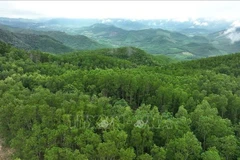 Foto ilustrada (Fuente: VNA)