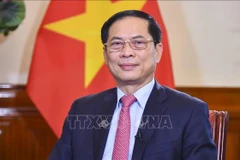 El viceprimer ministro y canciller de Vietnam, Bui Thanh Son (Fuente: VNA)