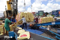 Desde el 1 hasta el 15 de enero, Vietnam exportó más de 268 mil 700 toneladas de arroz (Fuente: VNA)