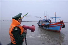 La fuerza de guardia fronteriza en la provincia de Nam Dinh ha implementado medidas contra la pesca ilegal, no declarada y no reglamentada (Fuente: VNA)