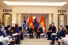 El secretario general del Partido Comunista de Vietnam y presidente de la República, To Lam, mantiene conversaciones con la gobernadora general de Australia, Sam Mostyn. (Fuente: VNA)