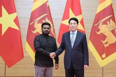 El presidente Luong Cuong (derecha) y su homólogo de Sri Lanka, Anura Kumara Dissanayak (Fuente: VNA)