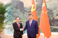 El secretario general del Partido Comunista de China (PCCh) y presidente del país, Xi Jinping, y el canciller vietnamita, Le Hoai Trung (izquierda). (Fuente: VNA)