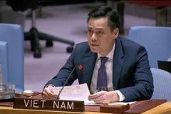 el embajador Dang Hoang Giang, representante permanente de Vietnam ante las Naciones Unidas (Fuente: VNA)