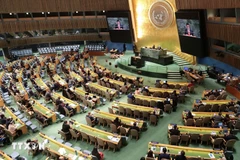 La reelección de Vietnam como miembro del Consejo de Derechos Humanos de la ONU para el mandato 2026-2028 refleja el reconocimiento de la comunidad internacional al prestigio del país indochino (Fuente: VNA)
