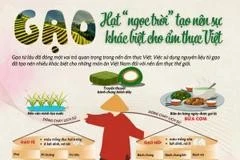 El arroz - la "perla del campo" distingue la cocina vietnamita